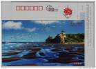 Ruan River Estuary Wetland,Best Bird Watching Site,Seagull,CN07 Qinhuangdao Landscape Advertising Pre-stamped Card - Möwen