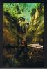 RB 837 - "Bay Series" Coloured Postcard Shanklin Chine Isle Of Wight - Autres & Non Classés