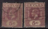 Ceylon Used 1921, Wmk Script CA, KGV 5c 2 Diff., Shades - Ceylon (...-1947)