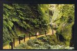 RB 838 - Nigh Postcard - The Chine Shanklin Isle Of Wight - Autres & Non Classés