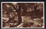 RB 838 - Real Photo Postcard - In Campsie Glen - East Dunbartonshire Scotland - Dunbartonshire