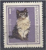 BULGARIA 1967 Cats -  1s - Angora FU - Usados