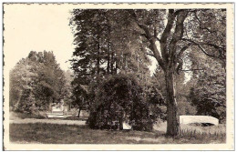 CUL-DES-SARTS-VUE DU PARC - Cul-des-Sarts