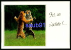Tigres - Parc Animalier  Et D'Attractions Dompierre Sur Besbre -  Humour Ici On S'éclate !   Réf : 23623 - Tijgers