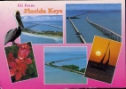 Hi From Florida Keys - Viaggiata - Formato Grande - Key West & The Keys