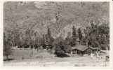 Columbine Camp Poudre Canyon CO Colorado, Gas Station Coca-cola Sing, C1930s/40s Vintage Real Photo Postcard - Andere & Zonder Classificatie