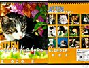 Katzen Foto Kalender  2002  -  25,5 X 25,5 Cm - Calendarios