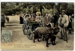 Carte Postale Ancienne Le Havre - Square Saint Roch. La Voiture Aux Chèvres - Attelage, Enfants - Saint-Roch (Plein)