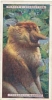 Proboscis Monkey  /  Singe  /  Animaux Animal  / IM49/2 - Player's