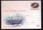 HISTORY OF WHALE HUNTING, BLUE WHALE, 2003, COVER STATIONERY, ENTIER POSTALE, UNUSED, ROMANIA - Walvissen