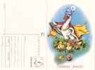 COCK, 1990, CARD STATIONERY, ENTIER POSTALE, UNUSED, ROMANIA - Cuckoos & Turacos