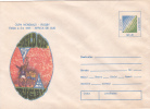 RUGBY WORLD CUP, SOUTH AFRICA, 1995, COVER STATIONERY, ENTIER POSTALE, UNUSED, ROMANIA - Rugby