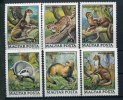 1979 Ungheria, Animali Protetti, Serie Completa Nuova (**) - Unused Stamps