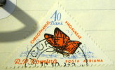 Romania 1960 Butterflies Chrisophanus Virgaureae 40b - Used - Neufs