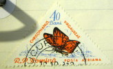 Romania 1960 Butterflies Chrisophanus Virgaureae 40b - Used - Ungebraucht