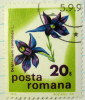 Romania 1975 Delphinium Consolida 20b - Used - Gebraucht