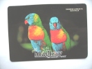 Australië Australia QLD Mackay Rainbow Lorikeets - Altri & Non Classificati