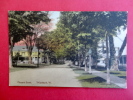 Hand Colored --- Woodstock VT   Pleasant Street-        ---------         ---------- Ref 431 - Other & Unclassified
