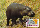 LIBERIA  WWF CARTE MAXIMUM NUM.YVERT  1004  PROTECTION DE LA NATURE HIPPOPOTAME - Cartes-maximum