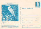 HOBBLEDEHOY, 1977, CARD STATIONERY, ENTIER POSTAL, UNUSED, ROMANIA - Storks & Long-legged Wading Birds