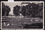 Colombier - La Plage Vers 1961 (8174) - Colombier