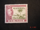 Gambia 1938  K.George VI   6d   SG155    MH - Gambie (...-1964)