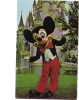 B56871 Mickey Mouse Walt Disney World Used Good Shape Back Scan At Request - Disneyworld