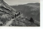 Höheweg Lötschberg Südrampe Hohtenn Ausserberg Fletschhorn - Ausserberg