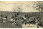 Carte Postale Ancienne Cercay, Commune De Villecresnes - Le Lavoir - Métiers, Laveuses, Lavandières - Villecresnes