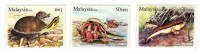 Malaysia / Animals / Reptiles And Amphibians - Schildpadden