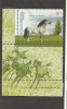 Argentina 2000  MNH ** CHEVAUX   HORSES CABALLOS PETISO ARGENTINO - Nuovi