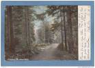 PENAQUID  -  Wood  Paths .  -  1906  -  CARTE PRECURSEUR  - - Sonstige & Ohne Zuordnung