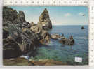 PO2339B# VIBO VALENTIA - TROPEA - SCOGLIO LA PIZZUTA  VG 1966 - Vibo Valentia