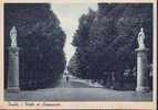 Imola, Viale Dei Cappuccini Anno 1942 - Imola