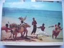Jamaica People With Donkey - Jamaica