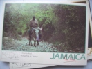 Jamaica Country Road With Donkey - Jamaica