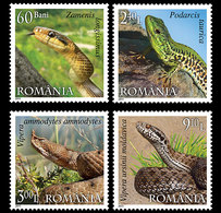 Romania 2011 MiNr. 6485 - 6488 Rumänien Reptiles Snakes, Balkan Wall Lizard 4v MNH** 12,00 € - Snakes