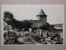 Nismes, Les Ruines De La Vieille Eglise - Viroinval