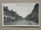 Maldegem. Noordstraat. - Maldegem