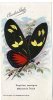 PAPILLON EXOTIQUE -  HELICONIE DORIS -  EDITION CHOCOLAT LOUIT  -  TRES BELLE ILLUSTRATION - Butterflies