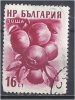 BULGARIA 1956 Fruits - 16s - Dark Red (Apples)  FU - Gebraucht