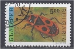 BULGARIA 1992 Insects - 5l. - Fire Bug FU - Oblitérés