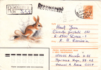 RABBIT, LAPINS, 1980, REGISTRED COVER STATIONERY, ENTIER POSTAL, RUSSIA - Hasen