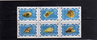 SOMALIA SOOMAALIYA 1976 SOMALI SHELLS SHELL BLOCK - CONCHIGLIA CONCHIGLIE SOMALE BLOCCO DI 6 MNH - Somalia (1960-...)