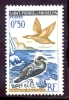 Saint Pierre Et Miquelon N°364 Oiseaux : Eider - Ongebruikt