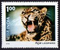India 1976 Wildlife 1r Leopard Used  SG 827 - Oblitérés