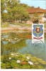 Romania / Maxi Card / Oradea - Briefe U. Dokumente
