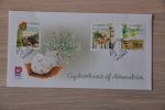 FDC NAMIBIË NAMIBIA 2008 EUPHORBIAS BLANCO BLANK. - Namibia (1990- ...)