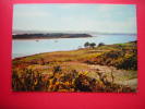 CPM OU CPSM  ANGLETERRE  BROWNSEA ISLAND ,POOLE HARBOUR  NON VOYAGEE - Bournemouth (a Partire Dal 1972)