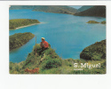 Portugal Cor 17581 - AÇORES - AZORES - SÃO MIGUEL - LAGOA DO FOGO - GOAT CHEVRE CABRA CÃO CHIEN DOG - Açores